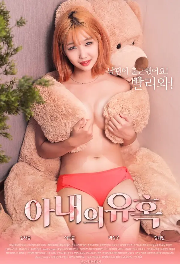 妻子的诱惑 海报